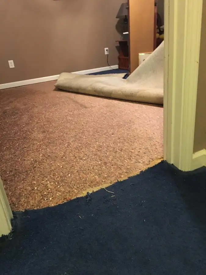 Carpet pad removal revealing water damage during Drying & Dehumidification in Bridgeport
